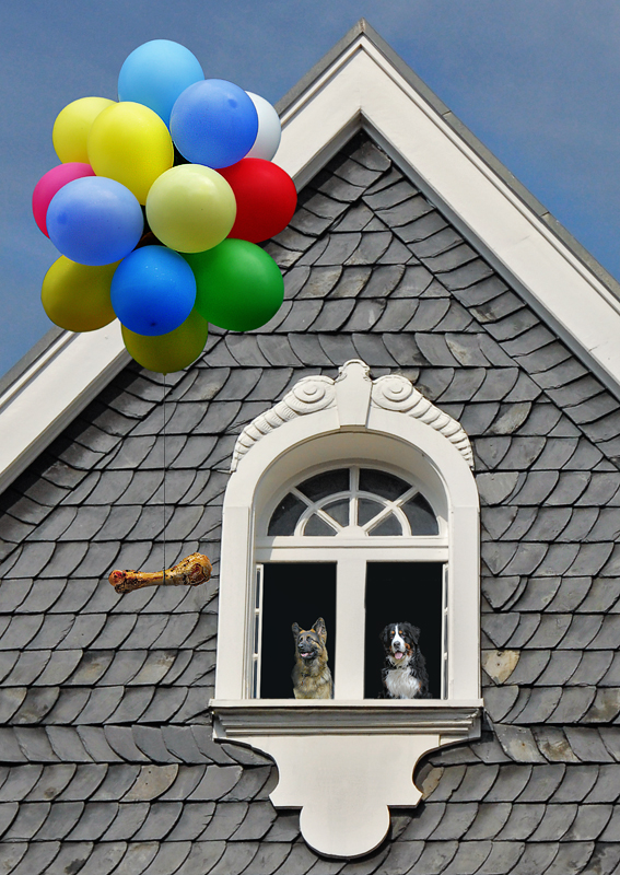 Luftballon Knochen Haus Fassade_DDD7209 als Smart-Objekt-1 Nr 2.jpg